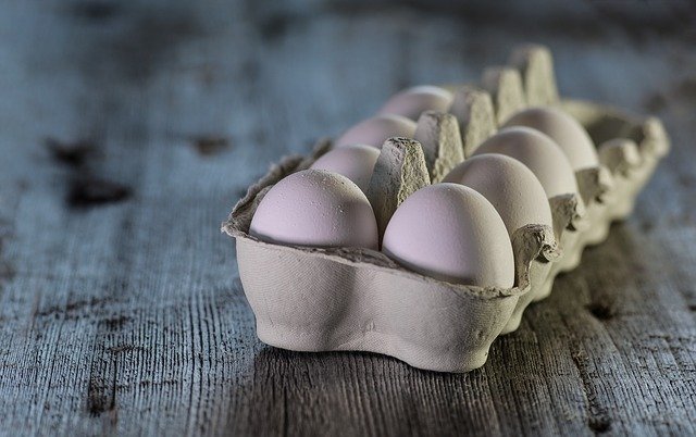 You are currently viewing צריכת ביצים אינה מעלה את הסיכון למחלות לב ולשבץ מוחי, לפי מחקר